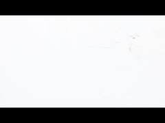 محرك NEMA 23 Pancake Stepper Motor فائق النحافة وعالي الأداء