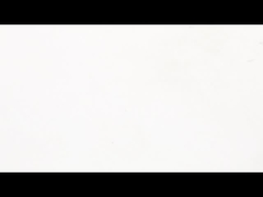 NEMA 11 مغلق - حلقة محرك متدرج ضيق - تصميم متماسك، حركة سلسة